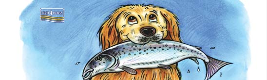 fish4dog.sk